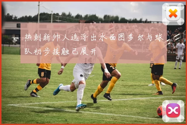 热刺新帅人选浮出水面图多尔与球队初步接触已展开