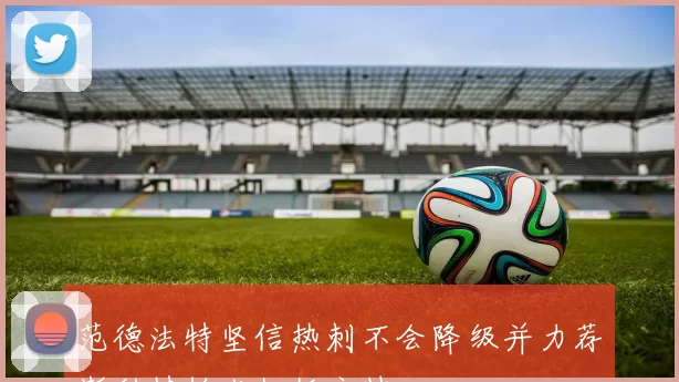 范德法特坚信热刺不会降级并力荐斯科特帕克担任主帅